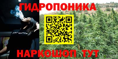 прущие грибы Славянск-на-Кубани