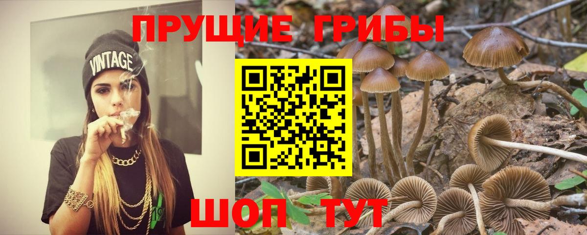 магазин продажи наркотиков  Вход с VPN  Нижнекамск  Псилоцибиновые грибы мицелий 